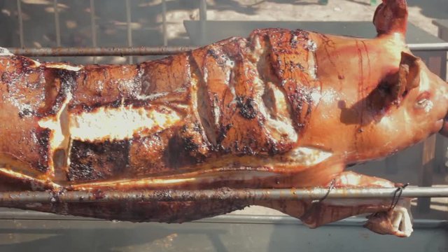 Moving close-up shot of a suckling pig rotating on a grill. Viola E Petisco - Brazil
