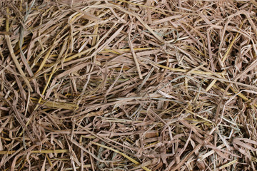 Dry straw texture background. Vintage style for design.