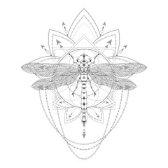 Vector illustration with hand drawn dragonfly and Sacred symbol on white background. Abstract mystic sign. Black linear shape.