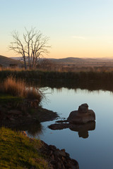 Stones in the lake 3