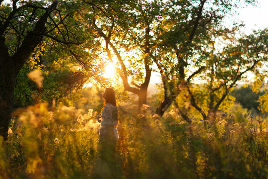 A young woman explores a beautiful forrest at sunset