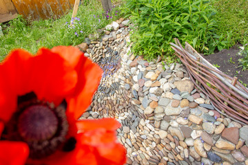 Dry creek in the garden of stones. grass and flowers grow along the stream bank. a beautiful solution for garden decoration. landscape design.