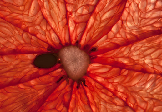 Macro of Grapefruit