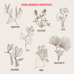 Best herbal remedies for infertility
