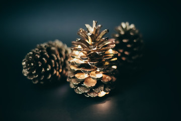 Golden pinecones