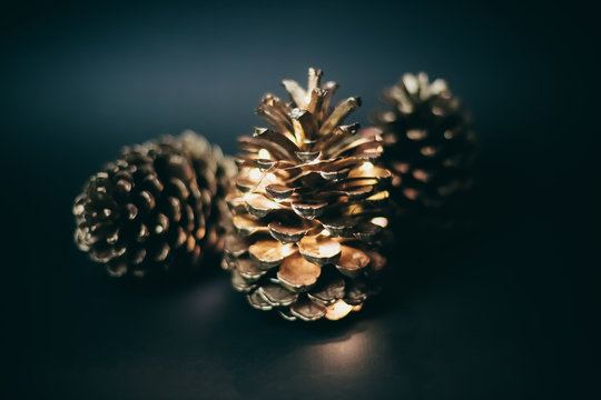 Golden pinecones