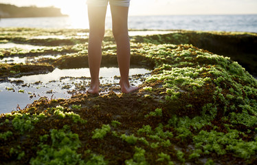 Close up of kid feet on the vegetation at the beach. Sunshine effect