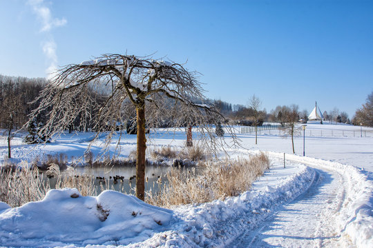Kurpark Bad Schlema im Erzgebirge, verschneite Landschaft, 