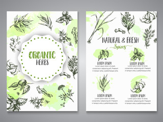 Herbs and spices posters. Herb, plant, spice hand drawn banners, menu elements. Organic garden herbs engraving. Botanical sketches. Garlic, ginger, cloves and onion vector