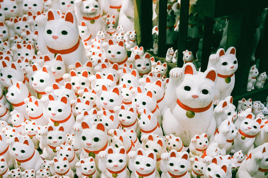 Sea of beckoning cats