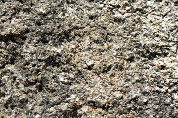 Texture of rocks on the seashore close-up. Natural stone background