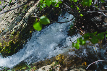 The rushing waterfall of the forest creek in the woodland area. 