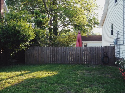 American summer backyard with umbrella and fence and green grass