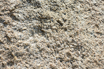 Texture of rocks on the seashore close-up. Natural stone background