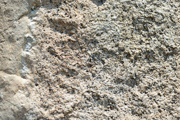 Texture of rocks on the seashore close-up. Natural stone background