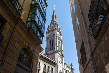 Cathedral of Santiago in Bilbao, Basque Country, Spain