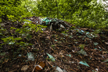 Broken glass on the ground in the woods. signs of human intervention in nature. soil and environmental pollution problems