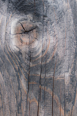 Background from old wood texture. Softwood boards. Annual rings and cuts from branches (knots) Beautiful, natural pattern. Summer, sunny day.