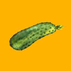 Watercolor painted collection vegetables tomato carrot cucumber set. Hand drawn fresh food design elements isolated on white background.