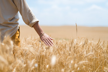 Woman's hand touching the grass running in a field.