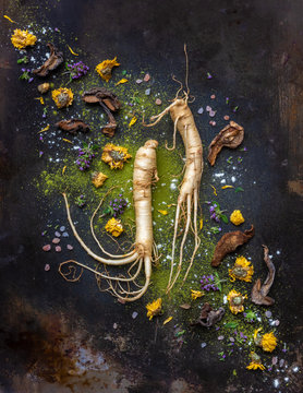 still life with ginseng, fungi, wasabi and herbs