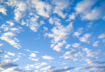 Fototapeta premium Blue sky with fluffy cloud
