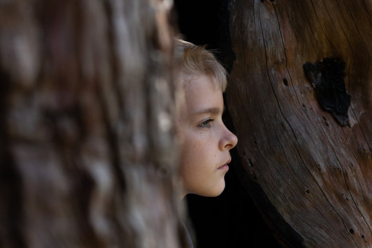 Profile of a boy as he stands in a hollow tree looking out.