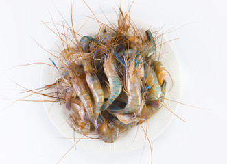 Fresh Shrimp on a white plate, on white background