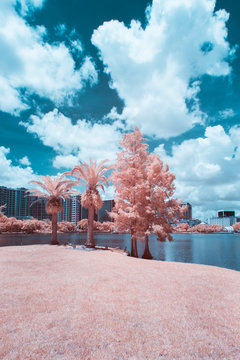 Lake Eola in Downtown Orlando, Florida