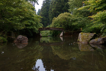 Fototapeta na wymiar 池と石橋