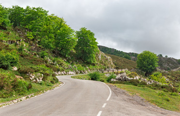 Picos de Europa mountain roads