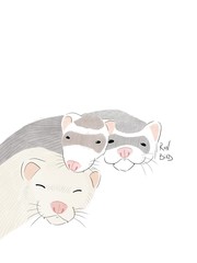Ferrets