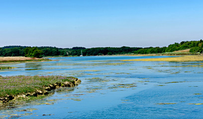 salt marsh, Isle of White