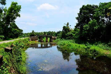 Fototapeta premium Rural Kerala - Free from pollution