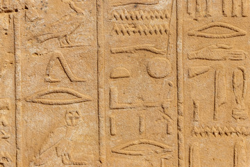 Ancient egyptian hieroglyphs on the wall in Karnak Temple Complex in Luxor, Egypt