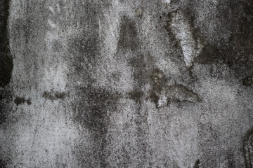 Background surface cement on the floors have lichen nature from rain water.