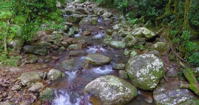 Rocky creek flowing through a green rainforest scene. Tilt up