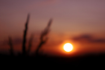 Abstract sunset light background texture. Blur the sun in dark violet sky.