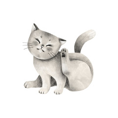 Cute kitten. Hand drawn illustration isolated on a white background.