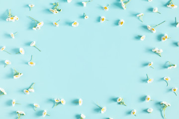 Beautiful flowers composition. Pattern made of spring and summer chamomile white flowers on pastel blue background. Flat lay, top view, copy space