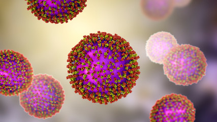 Measles viruses. 3D illustration showing structure of measles virus with surface glycoprotein spikes heamagglutinin-neuraminidase and fusion protein - obrazy, fototapety, plakaty