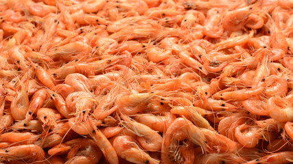 Tasty fresh shrimps as background.