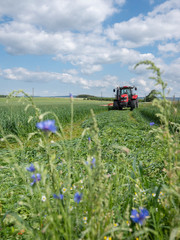 belgian farmer mows grass with tractor in field near Liege in the french part of belgium