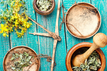 Hypericum medicinal plant