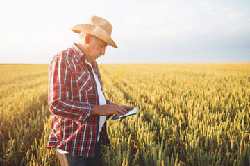 Farmers with tablet in a wheat field. Smart farming - obrazy, fototapety, plakaty