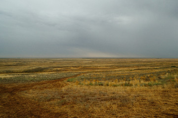 Steppe landscape. Lonely green plants on dry, hot sand