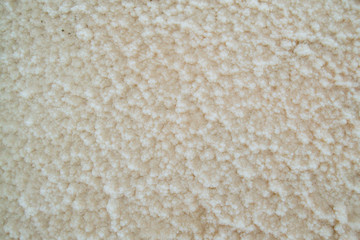 Crystals of natural salt in the lifeless hot terrain on the salt lake Baskunchak. Russia. Astrakhan region.