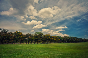 Fototapeta na wymiar Beautiful park scene in public park with green grass field,