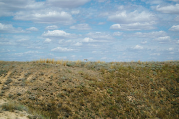 Distant hills. Hilly steppe. Curvy hills. Blue sky and grass. Beautiful plain.