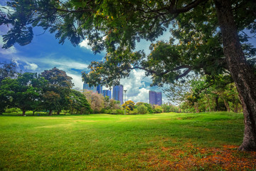Obraz premium Beautiful park scene in public park with green grass field,
